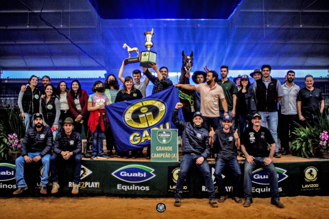 43ª Nacional Mangalarga elege os Grandes Campeões de 2021 Revista