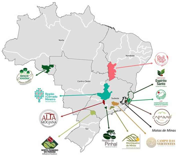 Café especial: conheça as principais regiões produtoras da Costa