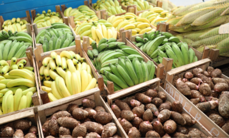 Banco de Alimentos de Cariacica recebe toneladas de produtos agrícolas Revista Negócio Rural