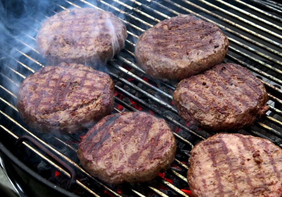 Burguer vegetal