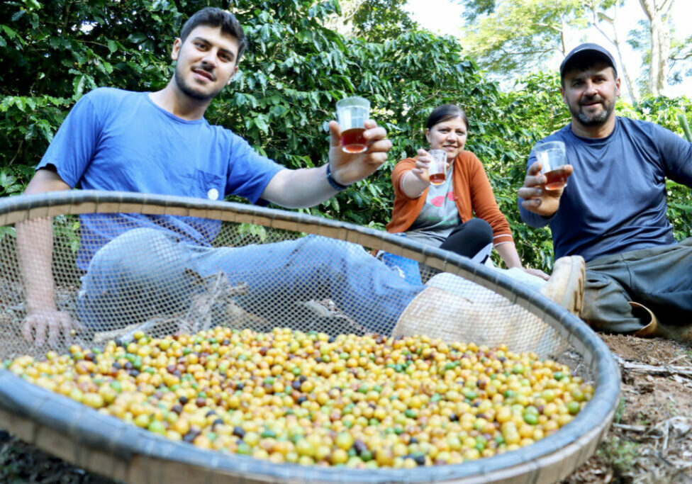 A família Busato produz café em Marechal Floriano