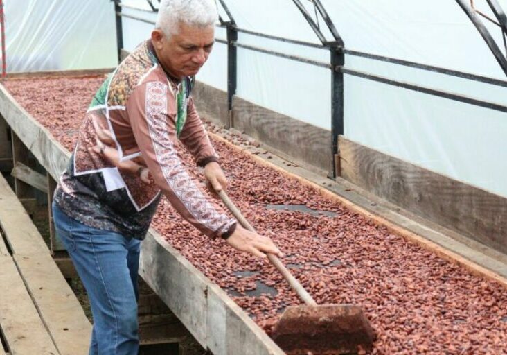 Cacau-Chocolate-Cassipore-Joao-Paixao