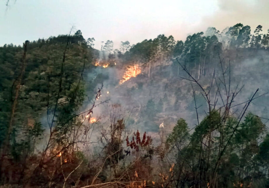 Incêndio em Victor Hugo (1)