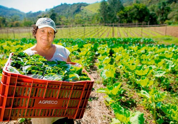 Mulheres-que-atuam-no-agronegócio