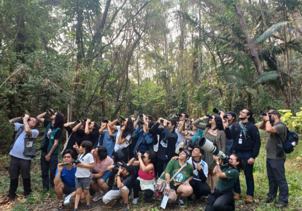 Observadores de aves