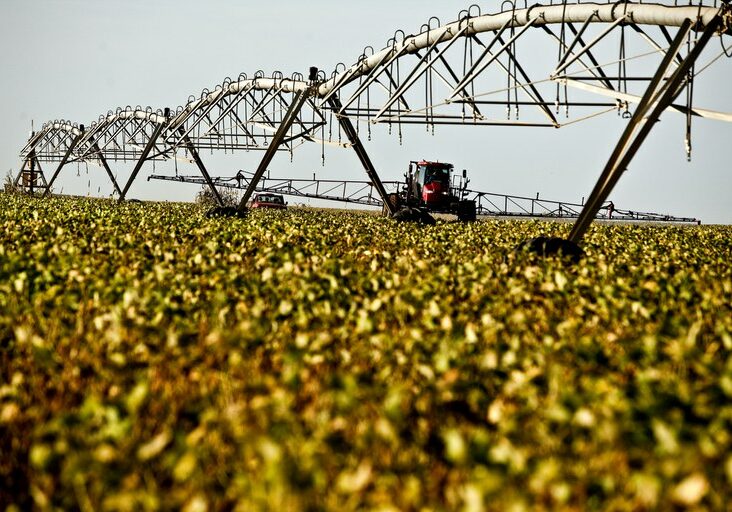 Produção-Agropecuária