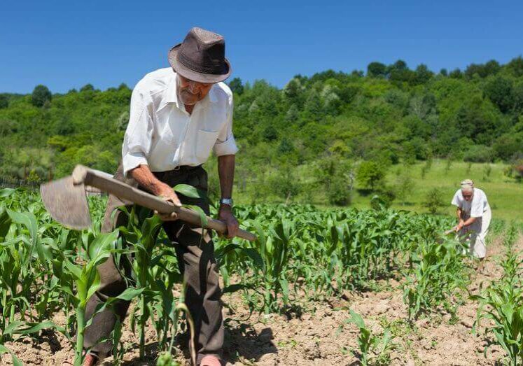 agricultura-familiar