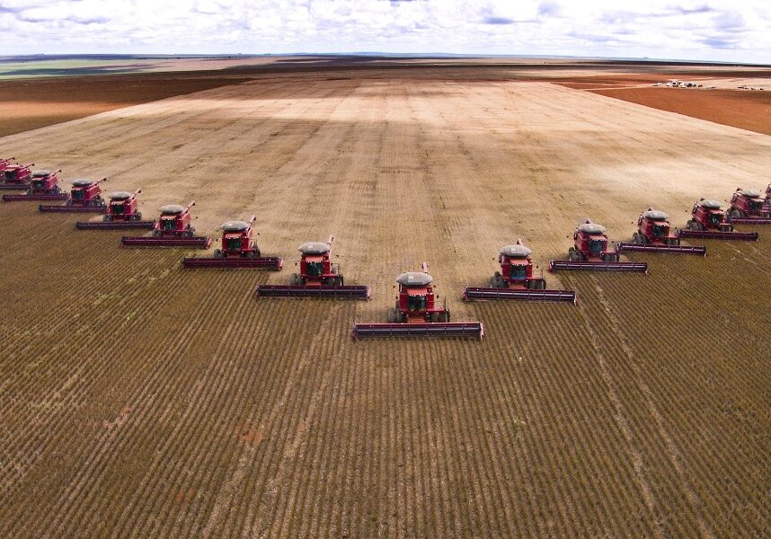 Soybean harvest