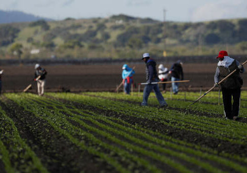 familia-no-campo