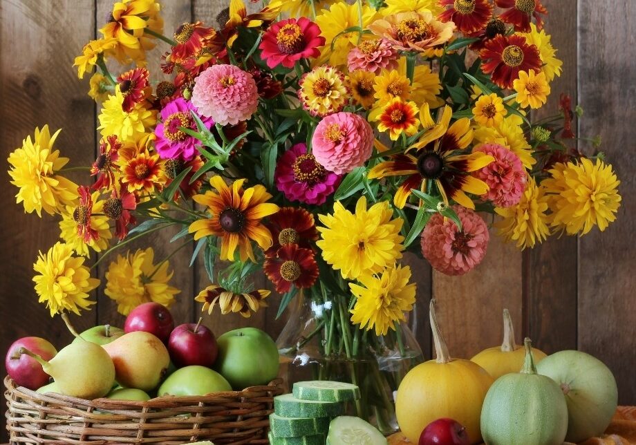 flores-e-fruras-foto-Canva-1-